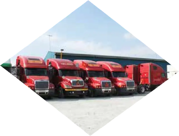 Đội xe container VIỆT HƯNG